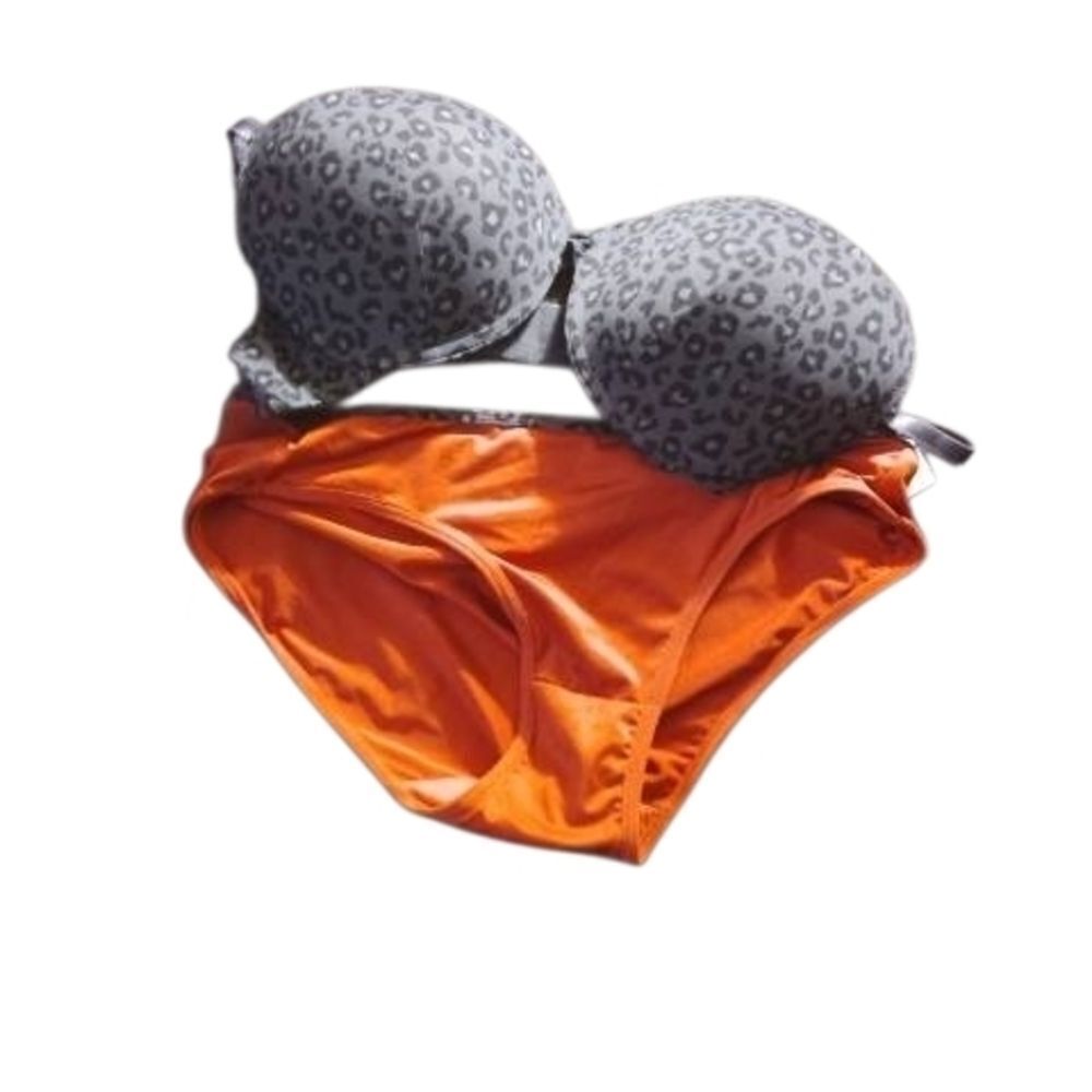 Sears Gray Leopard Print Bra with Orange Bottom (508)